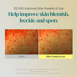 GOODAL Green Tangerine Vita C Dark Spot Care Sun Serum (50ml)